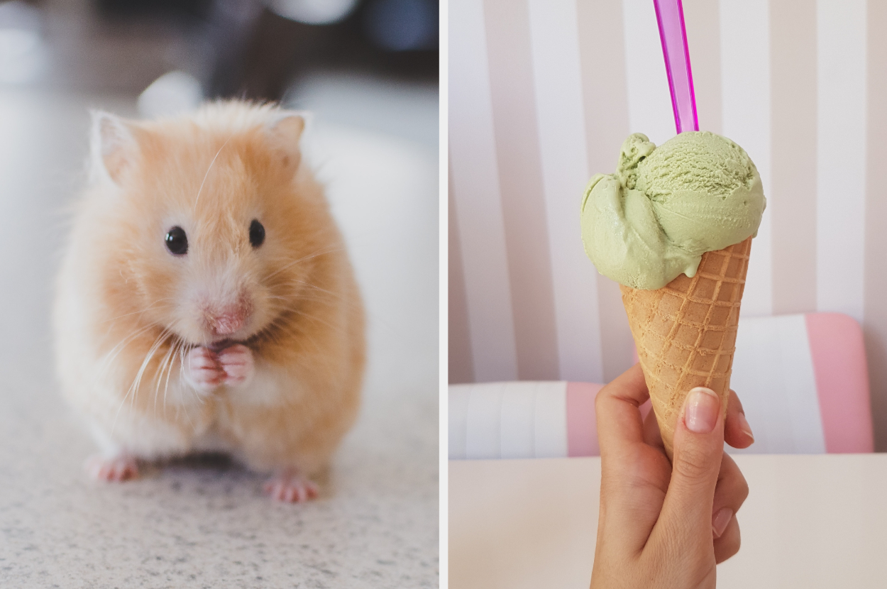 Quiz: Pick 7 Desserts And We'll Guess Your Favorite Animal