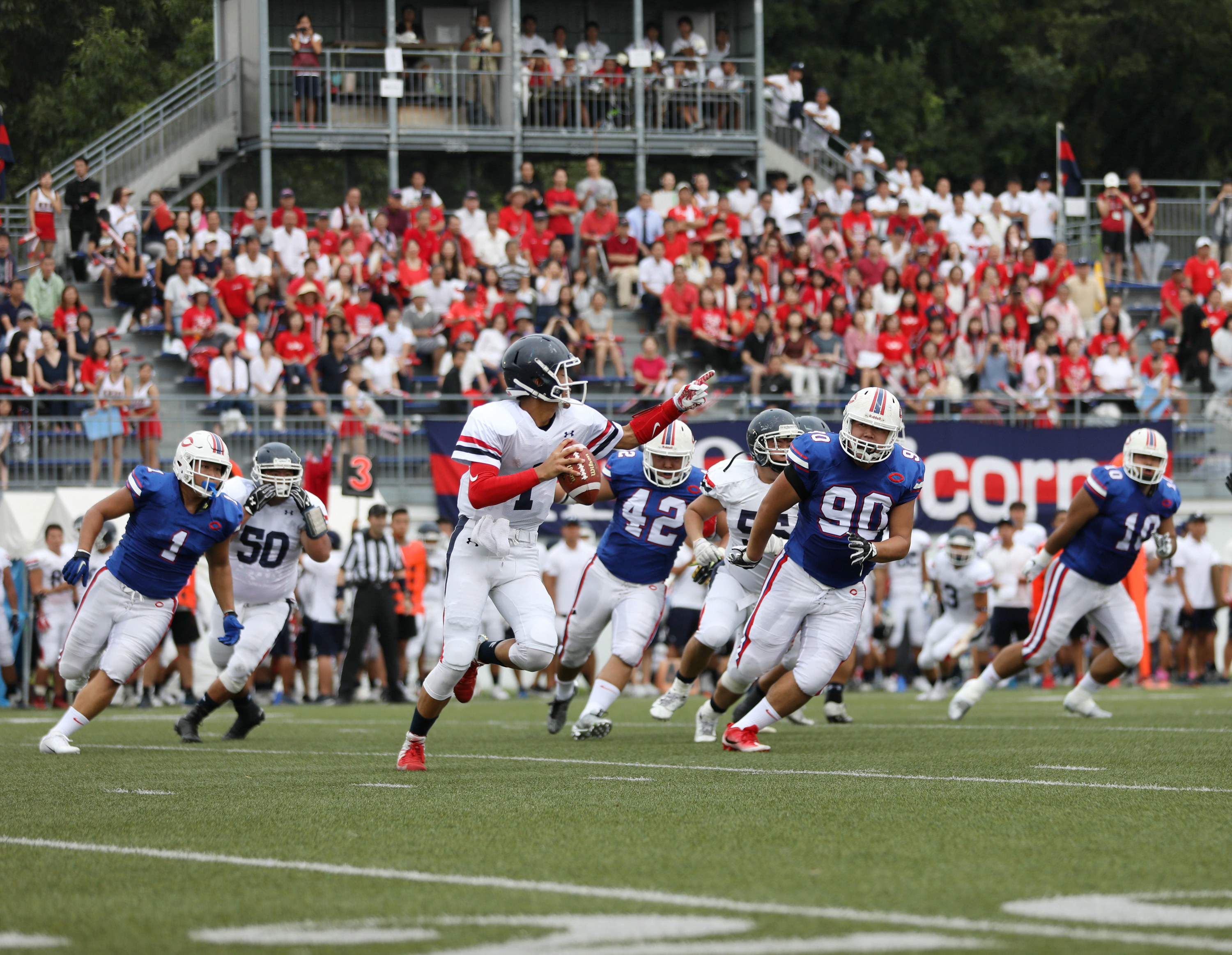 慶應 大学 アメフト 部