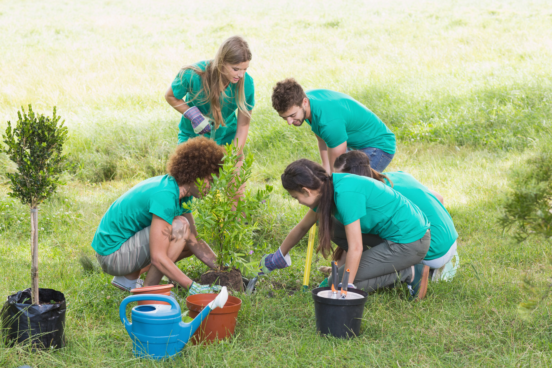 Группа обмен растениями. Kids for a clean environment организация. People helping the environment. Plant Trees volunteering. Волонтер Садоводство картинки.