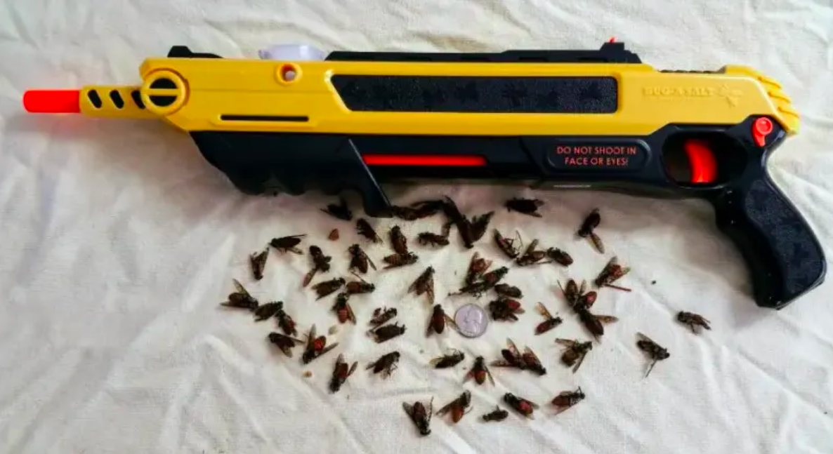 Reviewer showing dozens of dead bugs by salt gun 