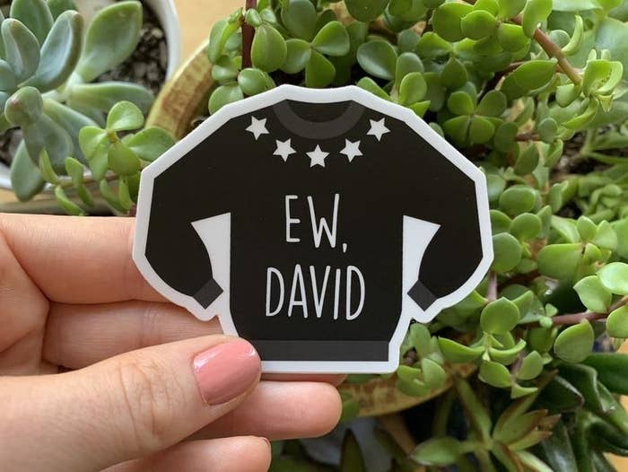 27 Things Any Schitt S Creek Fan Will Probably Be A Disgruntled Pelican If They Don T Own