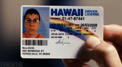Fake Id Maker Arrested