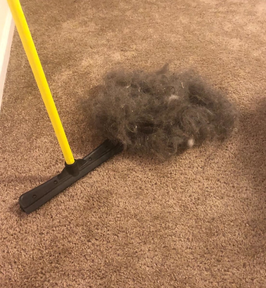 A reviewer photo of the combination broom and squeegee sitting on carpet next to a large pile of hair 