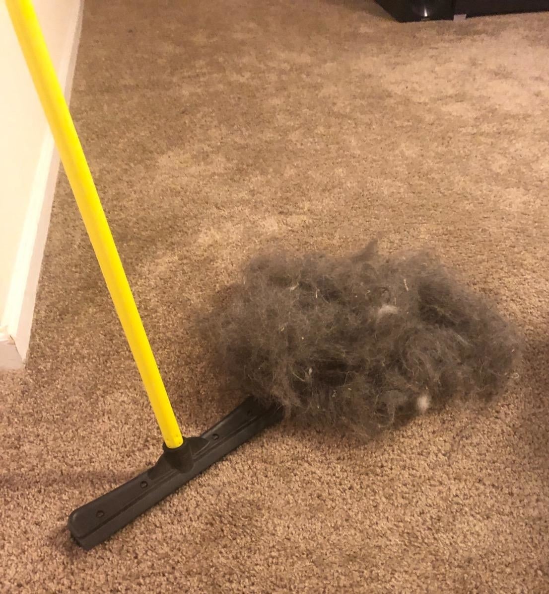 A reviewer photo of the combination broom and squeegee sitting on carpet next to a large pile of hair 