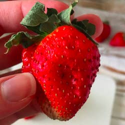 A BuzzFeed editor's photo of a wilted strawberry kept in a regular container