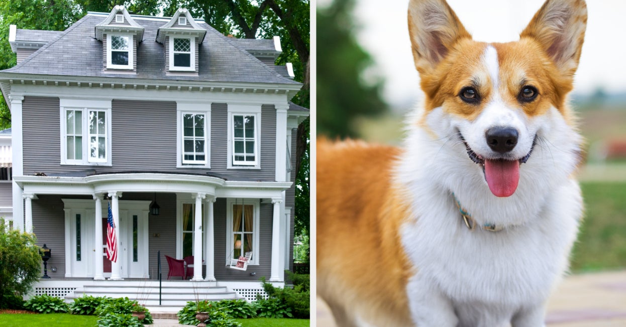 Design A Nice AF House And We'll Reveal What Dog Breed You Should Adopt