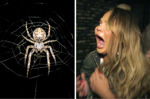 Billie Eilish Talked About Her Love Of Spiders And Her Pet Tarantula Billie Eilish Talked About Her Love Of Spiders And Her Pet Tarantula