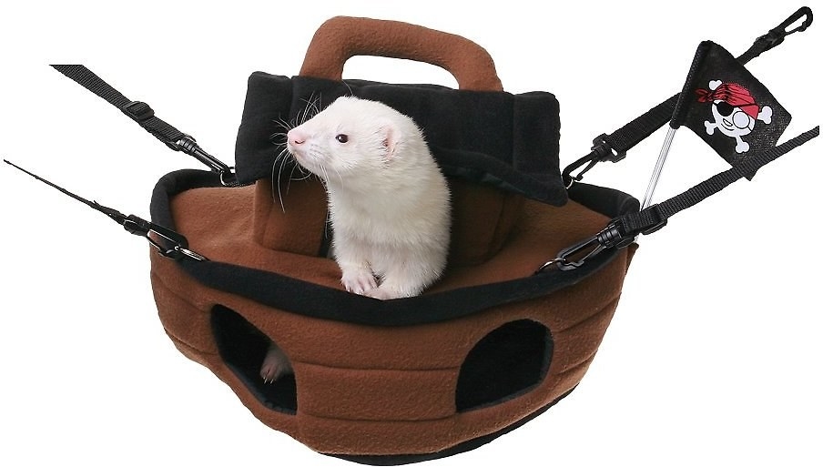 Ferret sitting inside plush pirate ship hanging from cage 