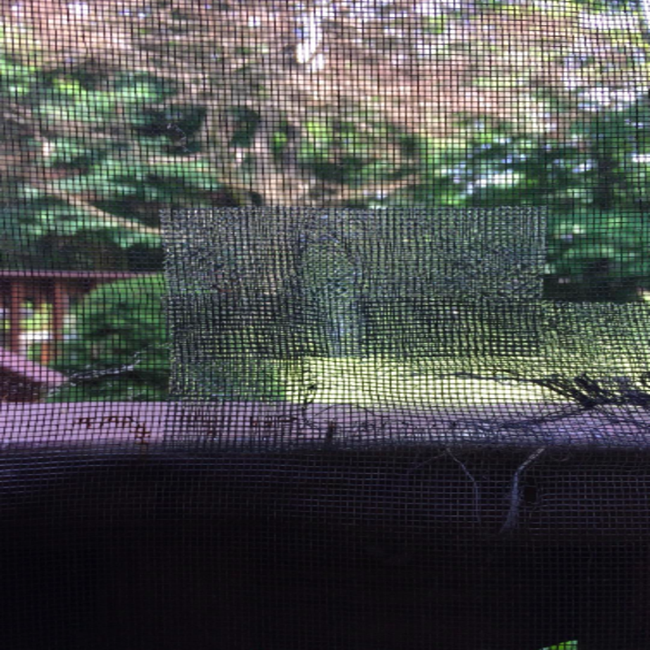The tape patching a hole on a reviewer's window screen
