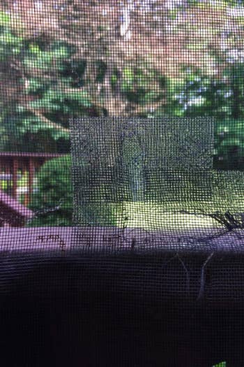 The tape patching a hole on a reviewer's window screen