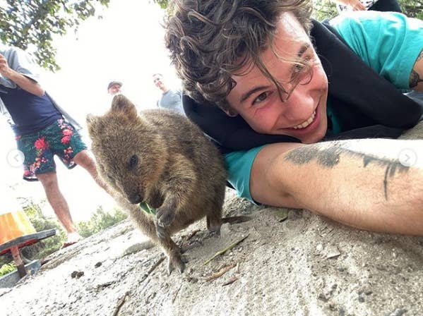 If You Look At One Thing Today Make It This Photo Of Shawn Mendes Cuddling Up To A Quokka