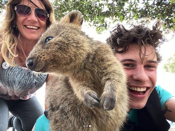If You Look At One Thing Today Make It This Photo Of Shawn Mendes Cuddling Up To A Quokka