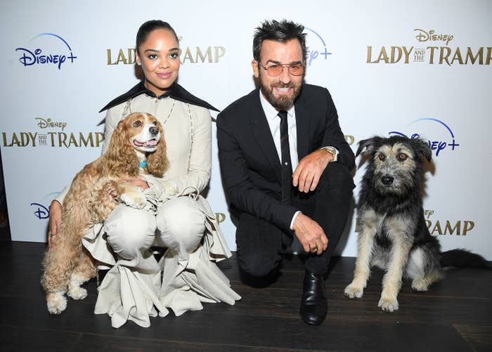 Tessa Thompson And Justin Theroux At "Lady And The Tramp" Premiere In NYC With Dogs