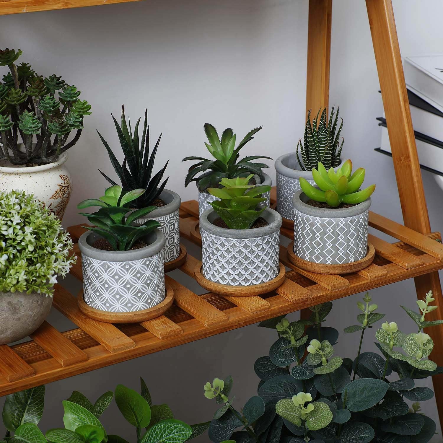 six succulents inside the cement succulent pots