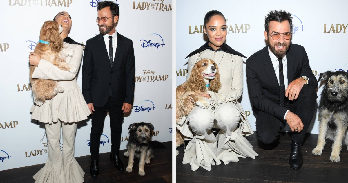 BRPROUD  Live-action Lady and the Tramp canine cast revealed