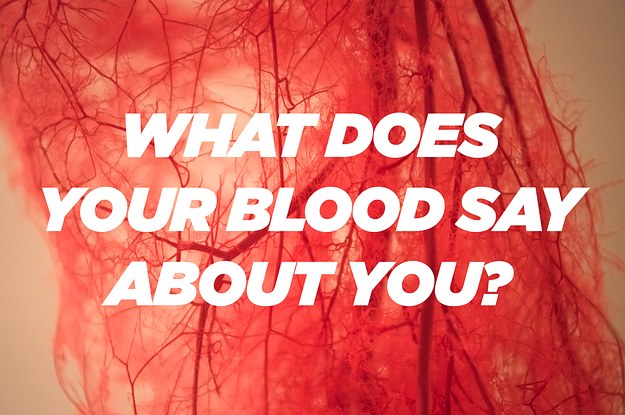 what-does-your-blood-type-say-about-your-personality