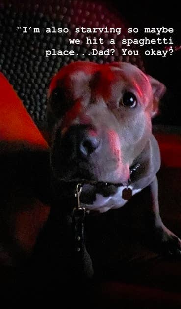 justin theroux instagrammed his dog s
