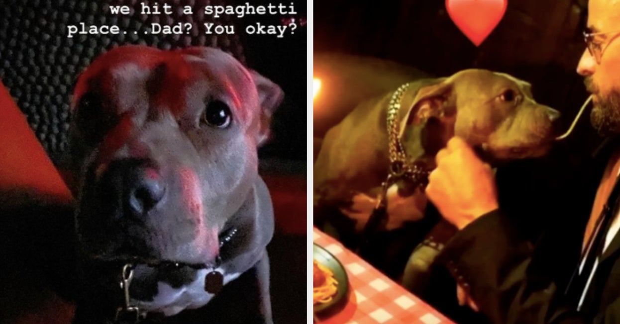 justin theroux instagrammed his dog s