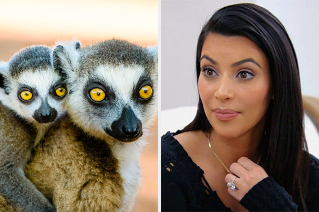 Quiz Which Exotic Animal Matches Your Personality