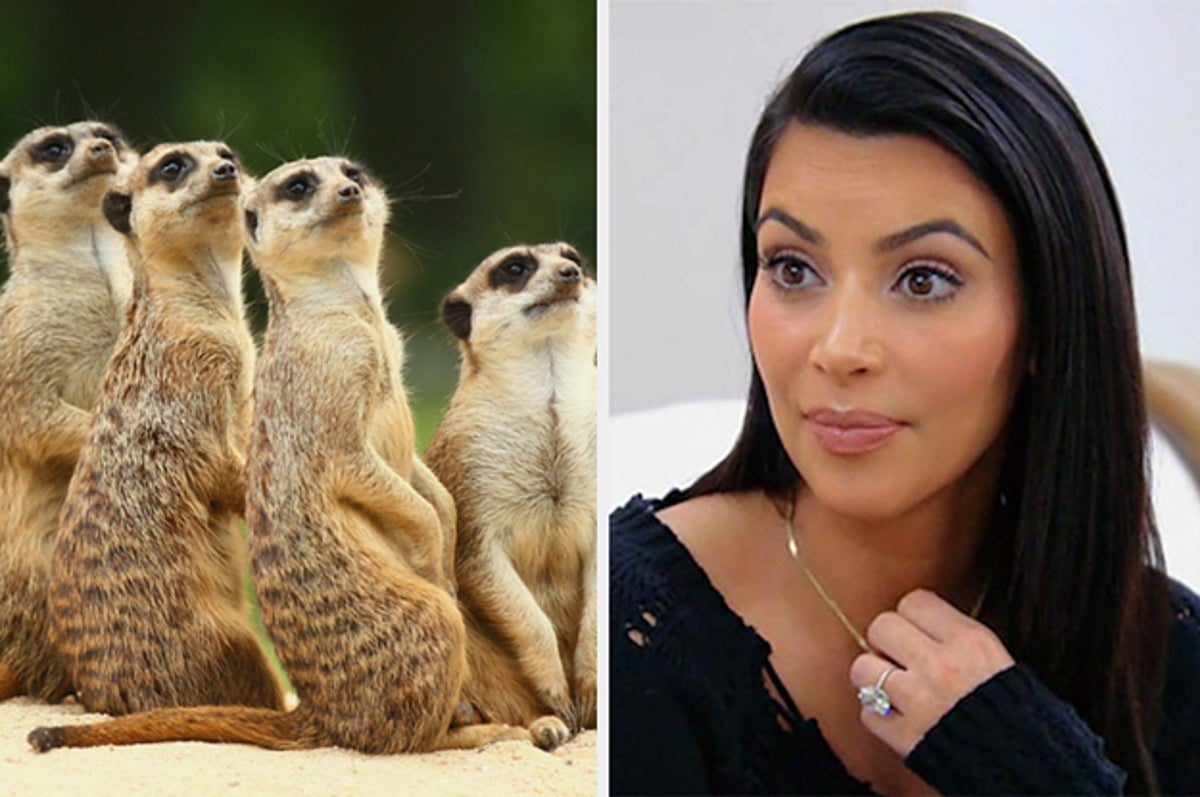 Quiz: Which Exotic Animal Matches Your Personality?