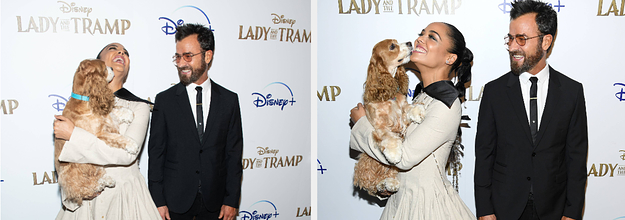 Tessa Thompson And Justin Theroux At Lady And The Tramp Premiere In NYC  With Dogs