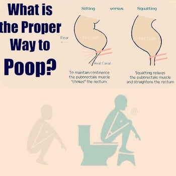Diagram showing how the Squatty Potty opens the anal canal