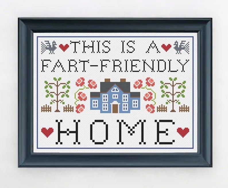 cross stitch desing that reads "this is a fart-friendly home" with plants, hearts, birds, and a house