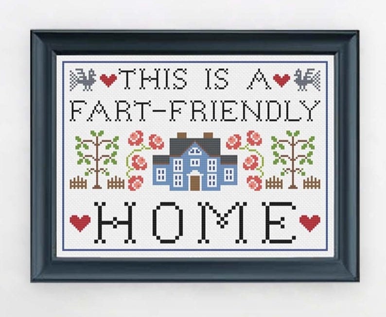 cross stitch desing that reads &quot;this is a fart-friendly home&quot; with plants, hearts, birds, and a house