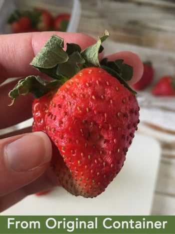 A hand holding a strawberry that looks slightly-wilted with text that reads 