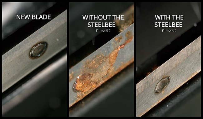 A three-image collage: new blade (clean), blade without the Steelbee (after one month with rust on it), blade with the steelbee (1 month, no rust)