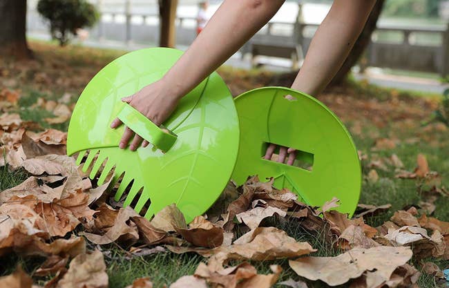 Hands using the trashcan lid-like scoopers with rake teeth on the bottom to scoop leaves