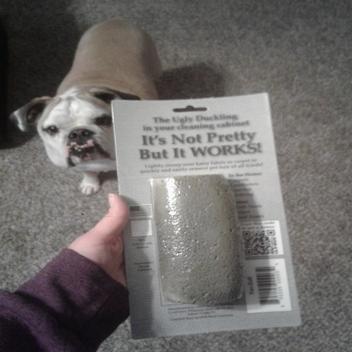Reviewer holding the remover in its packaging near a dog