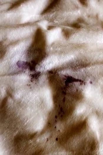 a furry white blanket with dark purple wine stains on it