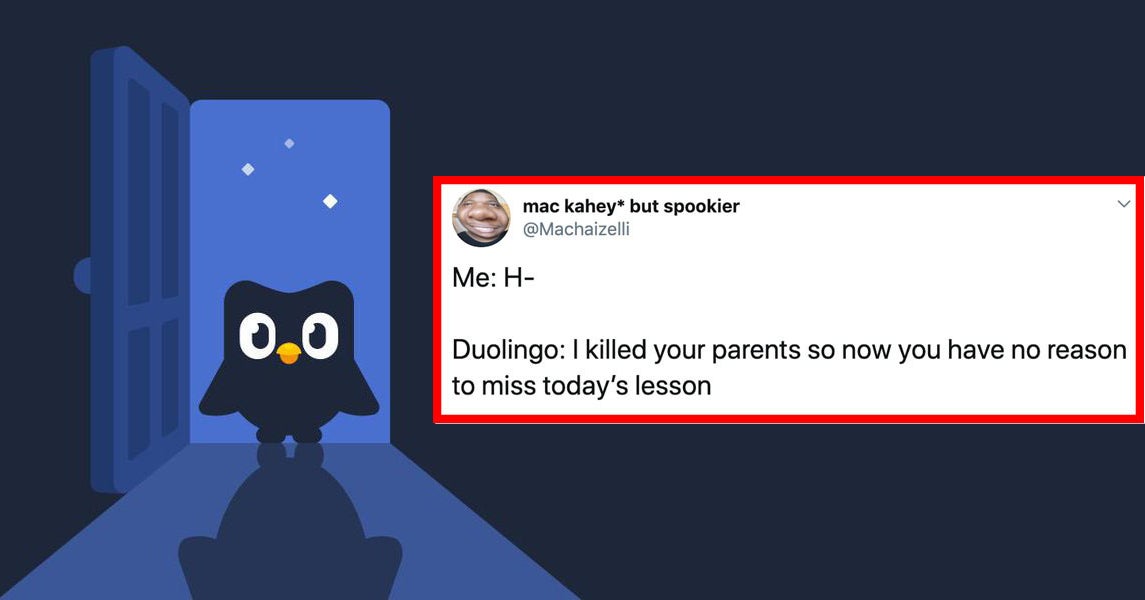 18 Funny Tweets About Duolingo Owl 18 Funny Tweets About Duolingo Owl