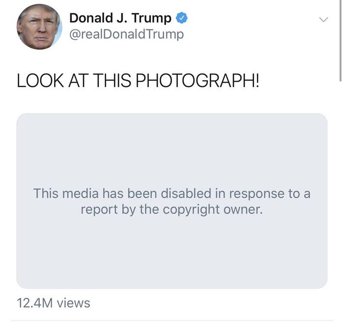 Trump photograph
