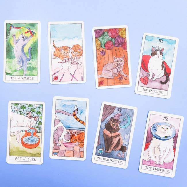 cat-themed tarot cards