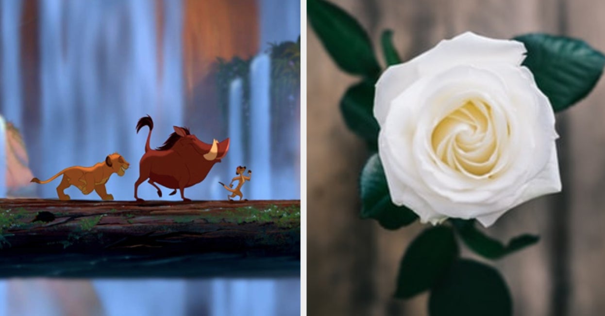 This Quiz Will Reveal Which Natural Object Represents You This Quiz Will Reveal Which Natural Object Represents You