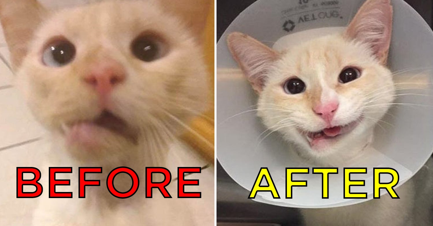 15 Good Things That Happened This Week