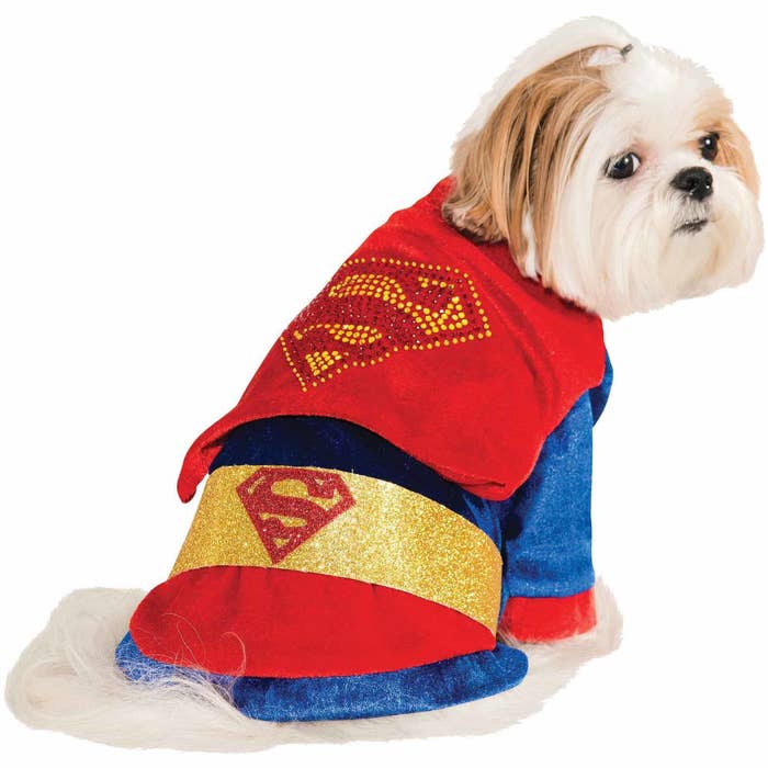 25 Of The Best Pet Halloween Costumes You Can Get At Walmart