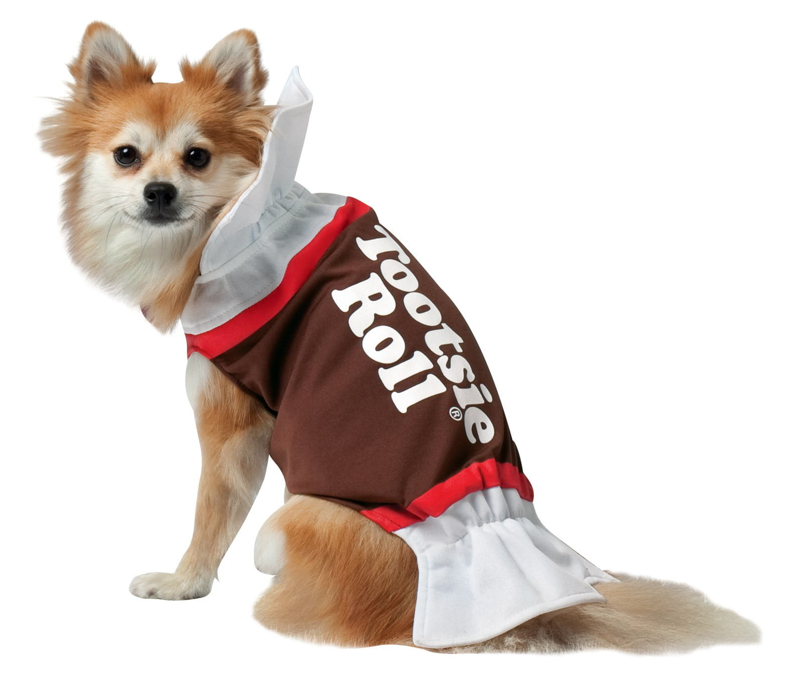 small dog wearing the tootsie roll costume