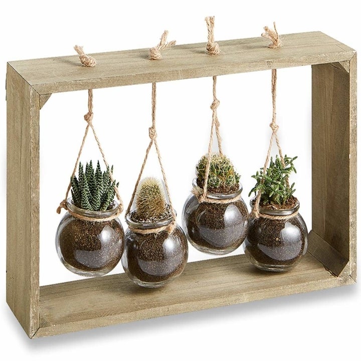 12 Cute Planters For Anyone Looking For An Excuse To Buy More Plants