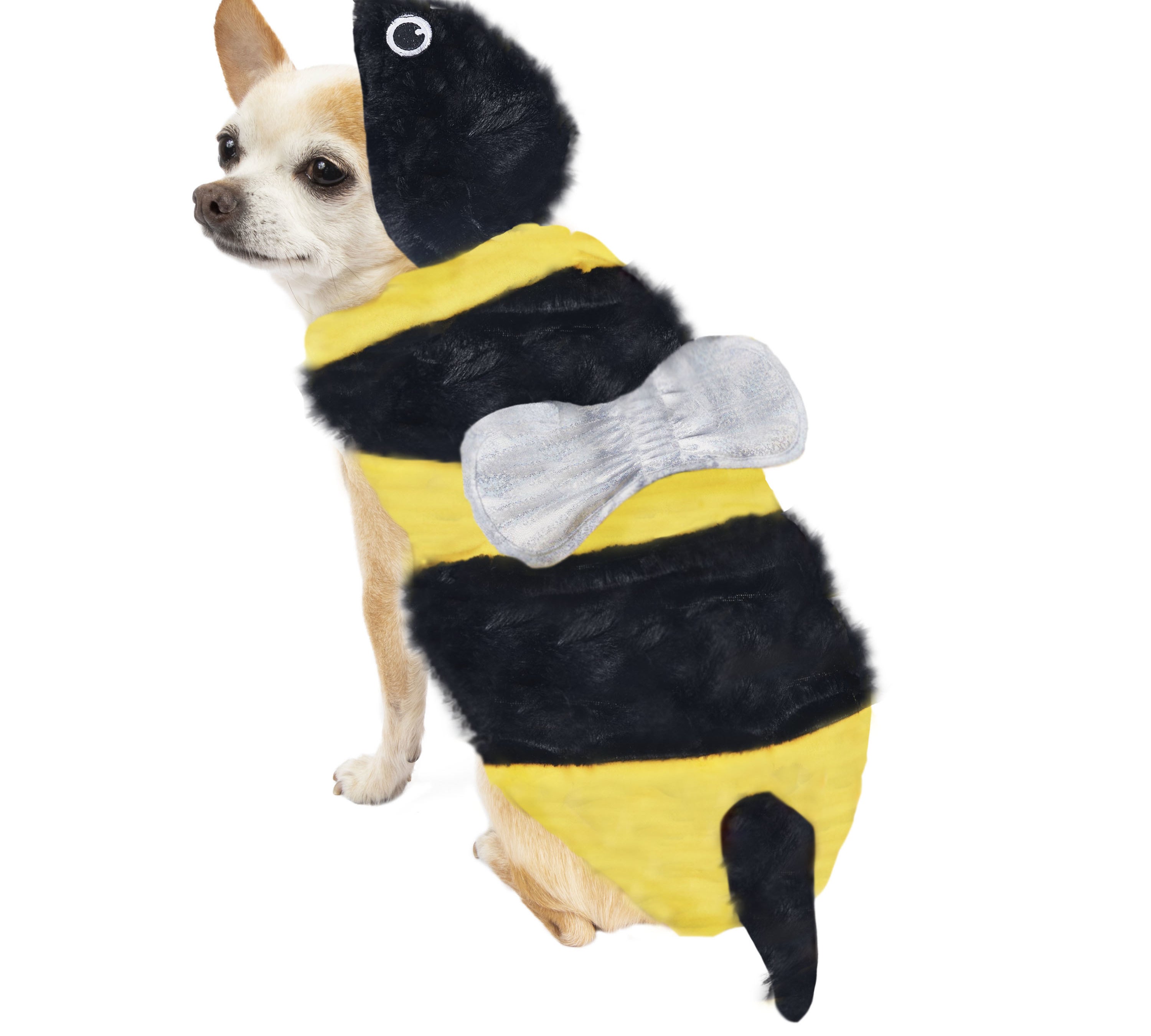 25 Of The Best Pet Halloween Costumes You Can Get At Walmart