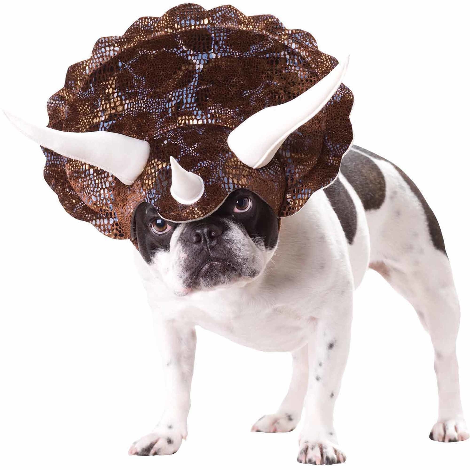 dog wearing the triceratops costume