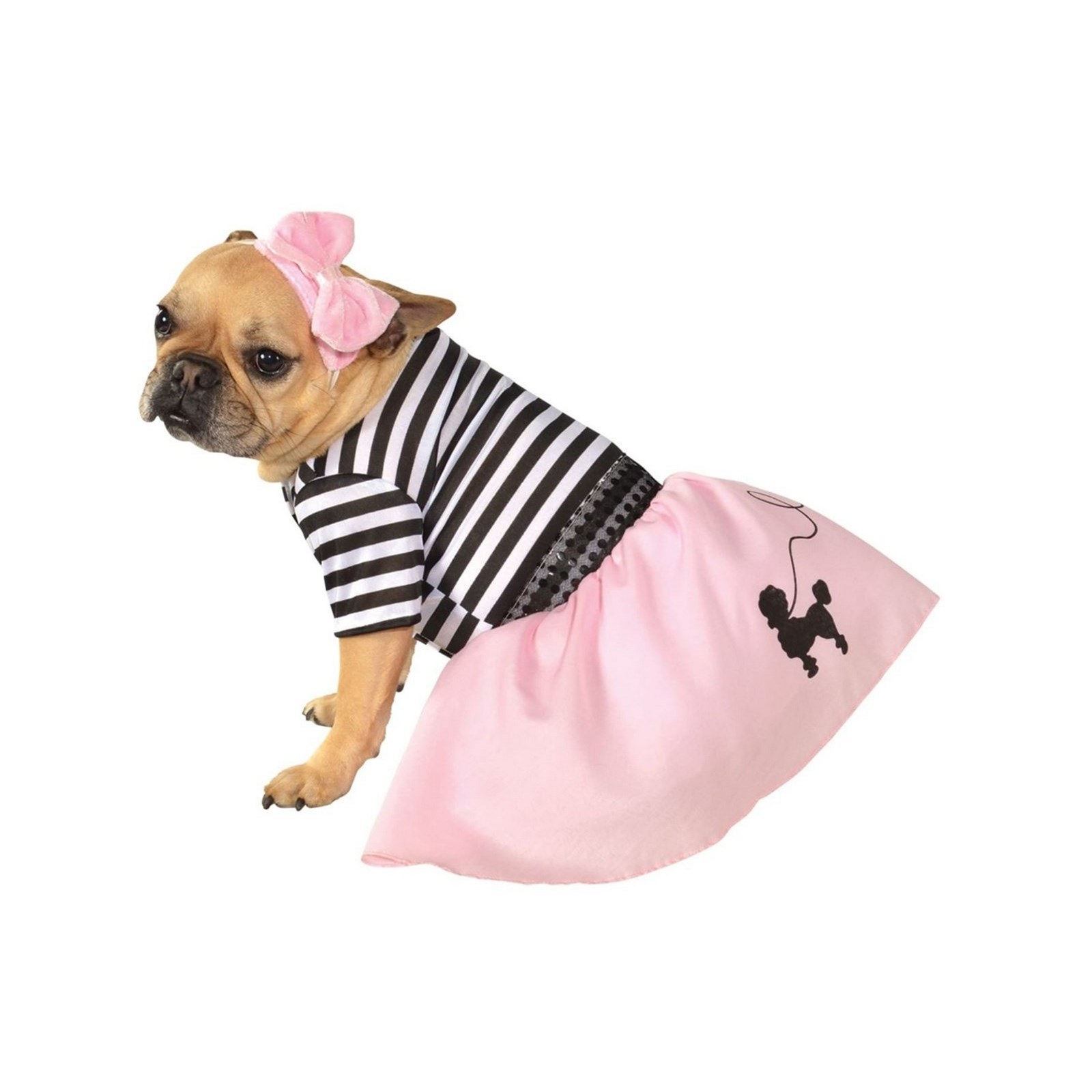 dog wearing the 50s costume