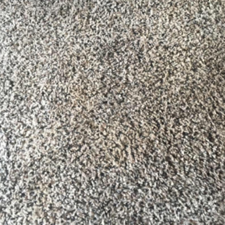 the same carpet with the stain removed