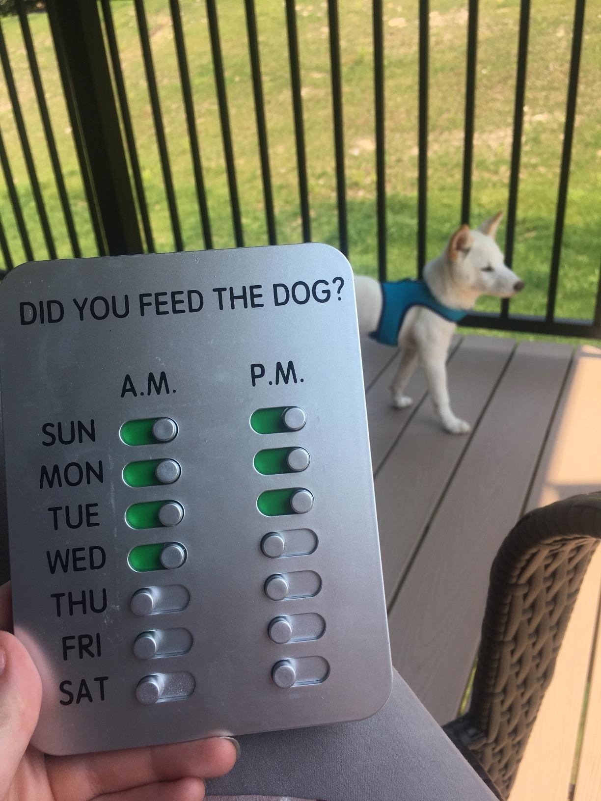 reviewer holding the dog feeding tracker with their pup in the background 
