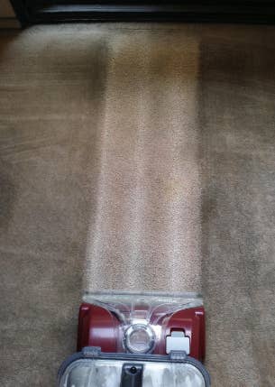 a reviewer using a vacuum and the product to remove the dirt from their carpet