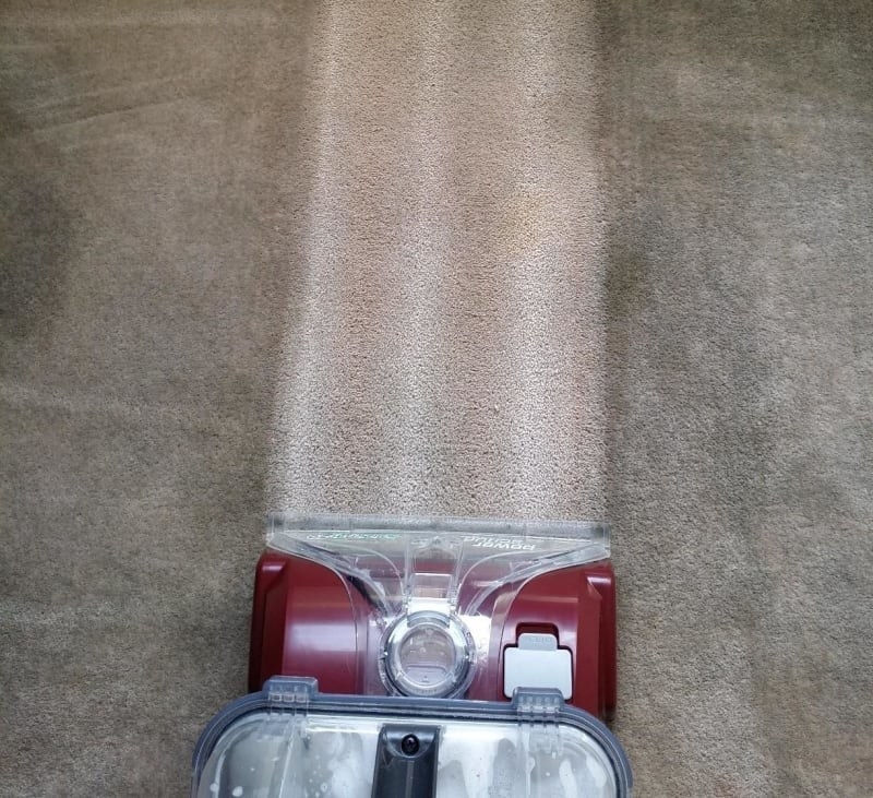 Reviewer&#x27;s before-and-after of their gray-tinted and stained carpet compared to a strip of clean beige carpet after using the cleaner 