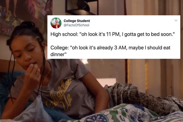 19 Jokes You Ll Only Get If You Re Studying For A Degree