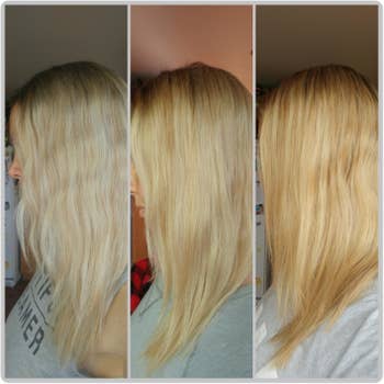 Another reviewer's progression photos showing the shampoo removed the yellow brassiness from their blonde hair